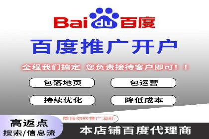 百度推广服务费案例：揭秘大品牌推广成功秘诀