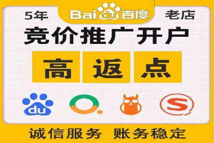 专业SEM服务托管方案案例分析